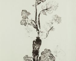 53 E.A.ZIMMERMANN