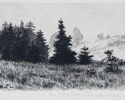 60 MATHILDE VON FREYTAG-LORINGHOVEN