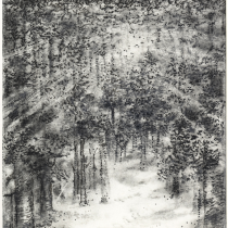 68 YVES CHRZANOWSKI