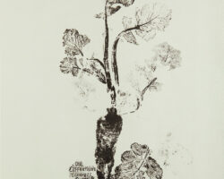 53 E.A.ZIMMERMANN