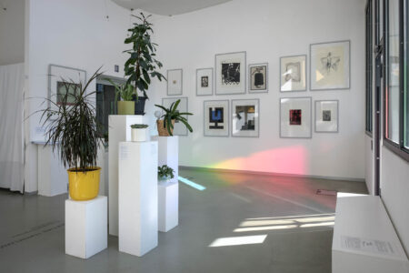 Im Vordergrund: GOETHES TOPFPFLANZEN . Ein Projekt von Sonya Schönberger Im Hintergrund: MÄZENATENTUM AUF THÜRINGISCH | Eine Kunstsammlung in Göpfersdorf Foto: Wolfgang Grau Raumansicht 3. Obergeschoß Jenaer Kunstverein