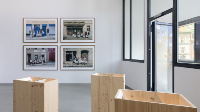 Hinten: Frenzy Höhne, Auslage, 2014, vier Fotografien aus einer achtteiligen Serie, C-Prints, je 90 × 126 cm, vorne: MADE BY US, Hyperreale Flora - Halden, installierte Stereofotografien, Holz, Spiegel, Polyester, Aluminium, Fujichrome Provia 100F RDP III, LED- Leuchtmittel, je 80 × 50 × 30 cm, 2018, dahinter: Christoph Blankenburg, Deep am Rennsteig, 2018, Video, 16:57 min, Foto: © Wolfgang Grau / JKV
