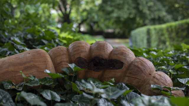 Mira Friedrich, Wurm, 2025, Kirschholz, Foto: © Tina Peißker