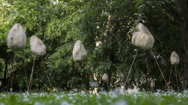 Mira Friedrich, Herde, 2025, Ahornholz, Baumpilze, Stahlstangen, Foto: © Tina Peißker
