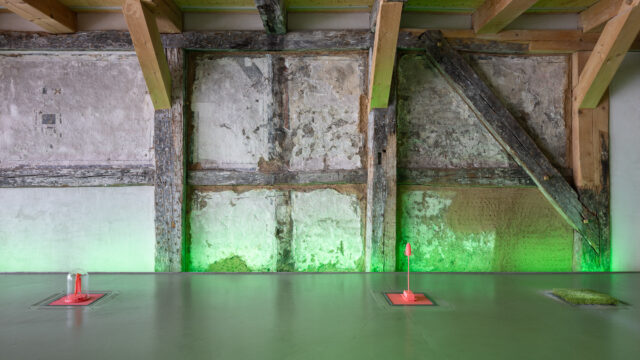 David Frommhold, Image of third topology (Observer – Heron, Memory – Teasel, Relic 1 – Bone, Relic 2 – Jaw), 2025, PLA-Filament | David Frommhold, The grass was greener 3, 2025, Kunstrasen | Sarah Feyerabend & David Frommhold, green lights, 2025, Leuchtmittel, Foto: © Wolfgang Grau