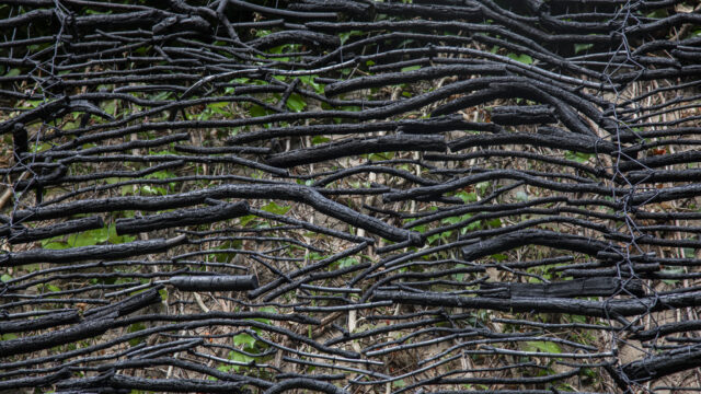 Ulrike Mohr, carbon texture, 2025, Wandarbeit aus verknoteter Holzkohle, Foto: © Tina Peißker