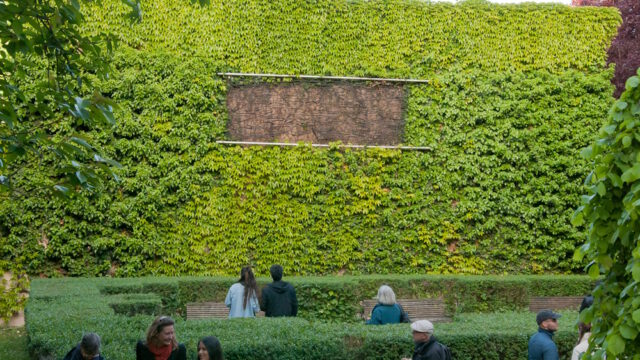 Vernissage der Ausstellung „sukzessive“ 22.05. 2025, Ein Blick in den Frommannschen Skulpturengarten mit Besucher*innen und carbon texture von Ulrike Mohr, Foto: © Thomas Lemke